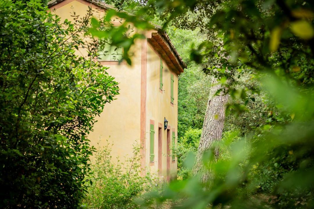 Château Martinay Hotel Carpentras Exterior foto